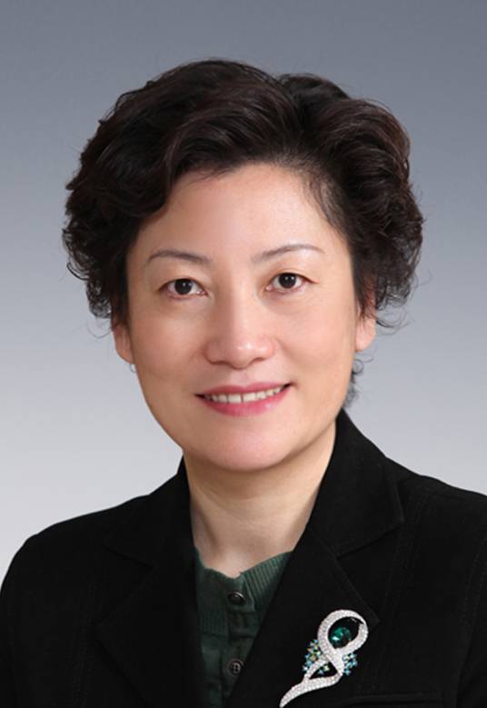 洪流（上海市长宁区政协党组书记、主席）