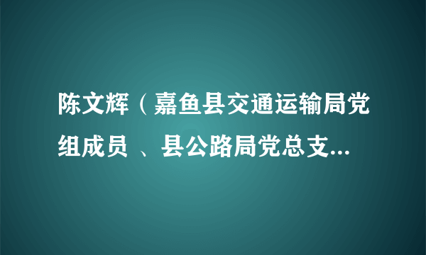 陈文辉(嘉鱼县交通运输局党组成员 、县公路局党总支部书记)