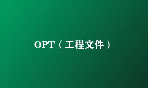 OPT（工程文件）
