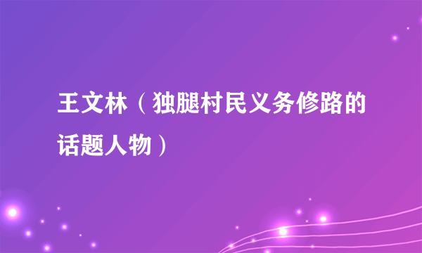 王文林（独腿村民义务修路的话题人物）