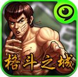 格斗之城（经典类格斗游戏）