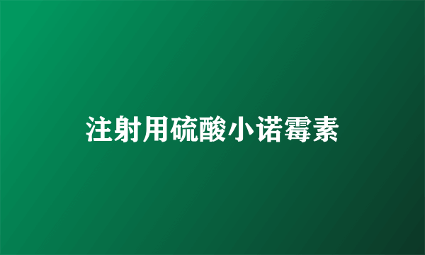 注射用硫酸小诺霉素