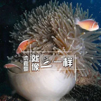 就像鱼一样