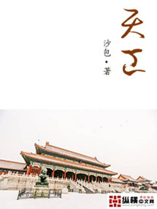 天工（沙包创作的都市类网络小说）