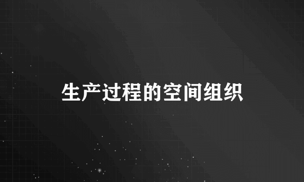 生产过程的空间组织