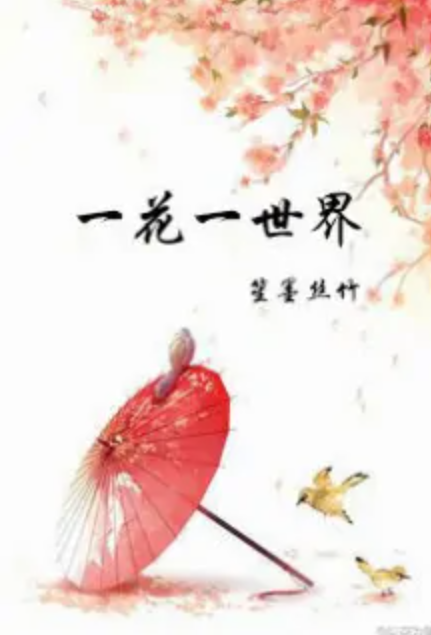 [综影视]一花一世界