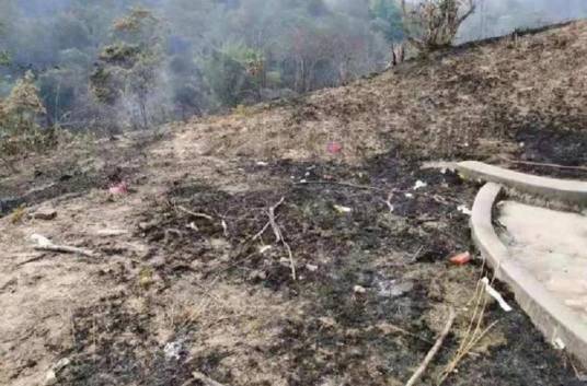 4·1普宁山火事故
