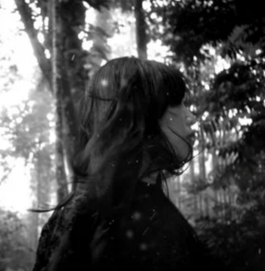 我等到花儿也谢了（潘清华演唱歌曲）