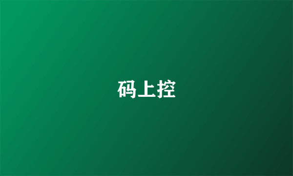 码上控