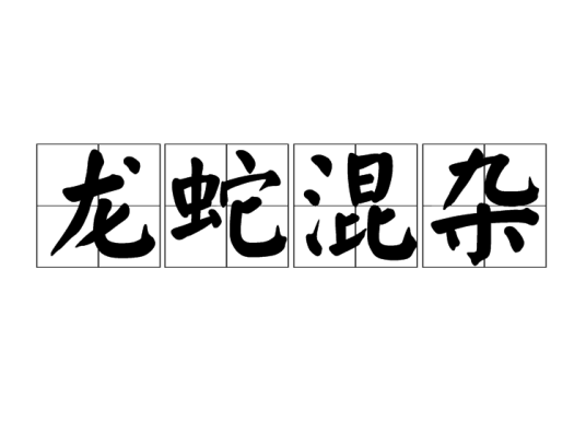 龙蛇混杂