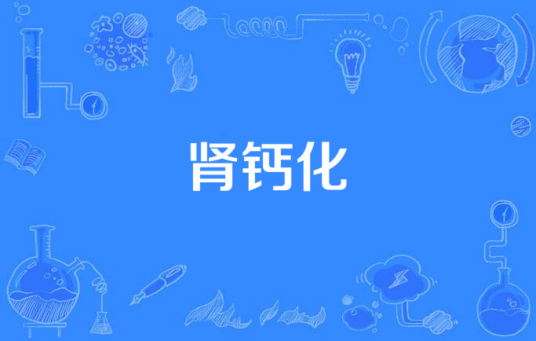 肾钙化