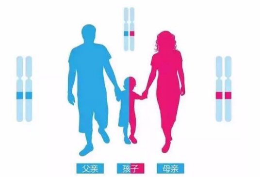 dna亲子鉴定