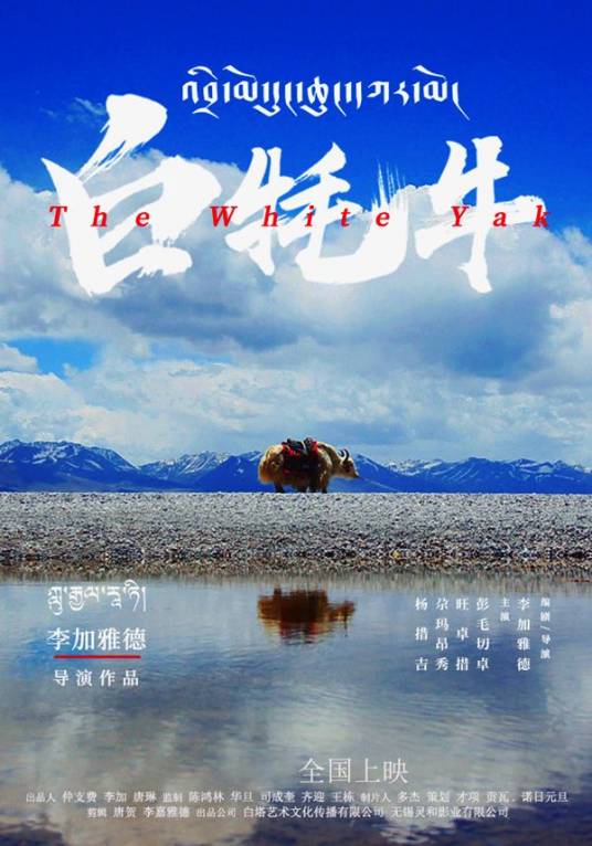 白牦牛（2019年李加雅德执导的电影）