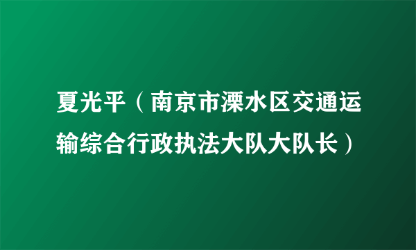 夏光平（南京市溧水区交通运输综合行政执法大队大队长）