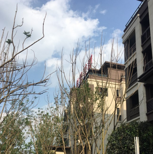 金科集美郡（重庆市金科集美郡小区）