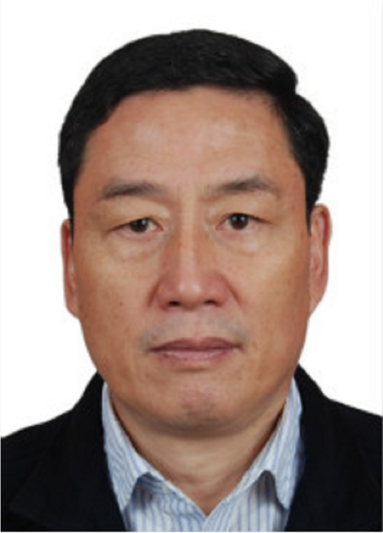 王金平（湖北省荆州市商务局副局长、党委委员）