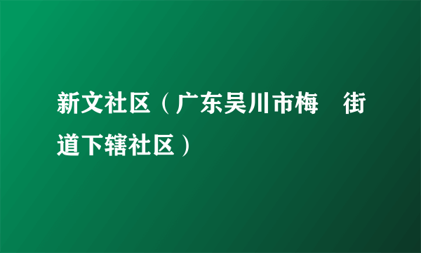 新文社区（广东吴川市梅菉街道下辖社区）