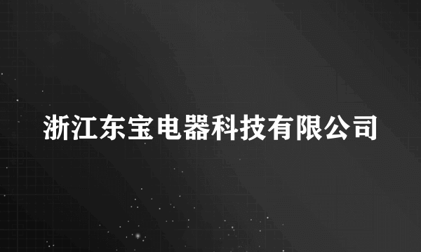 浙江东宝电器科技有限公司