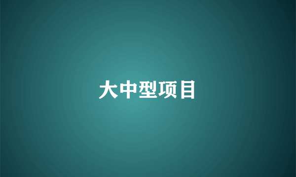 大中型项目