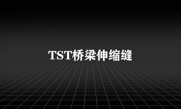 TST桥梁伸缩缝