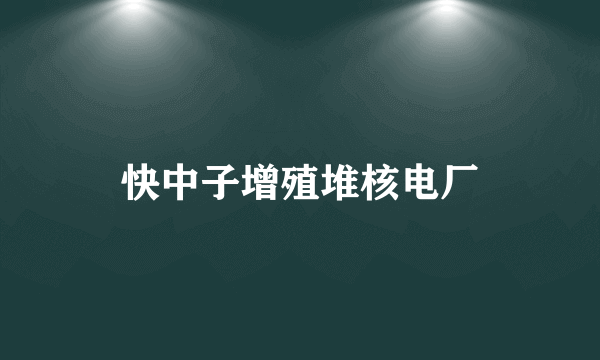 快中子增殖堆核电厂