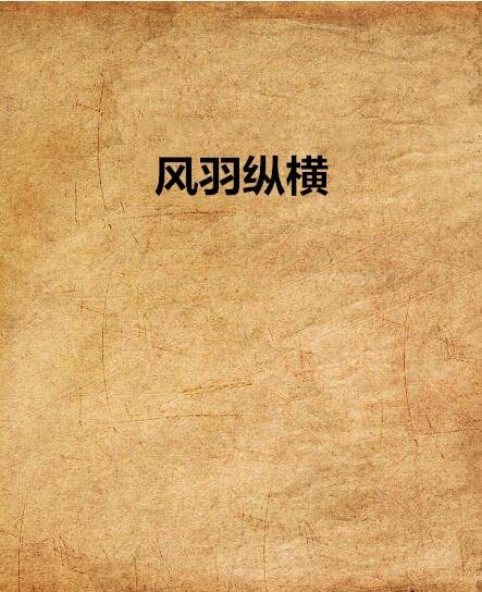 风羽纵横