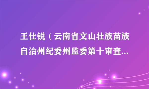 王仕锐（云南省文山壮族苗族自治州纪委州监委第十审查调查室主任）