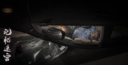 记忆迷宫（网络电影）