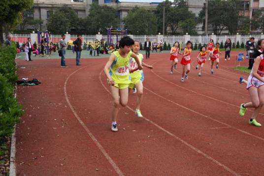 体育赛事（有规模有级别的正规比赛）