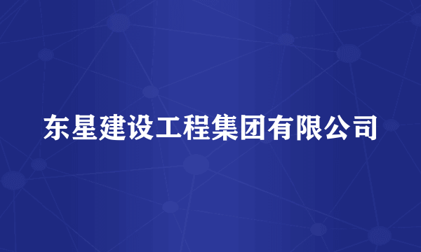 东星建设工程集团有限公司