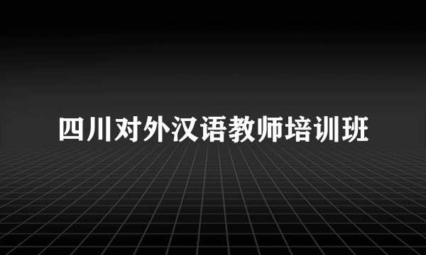 四川对外汉语教师培训班