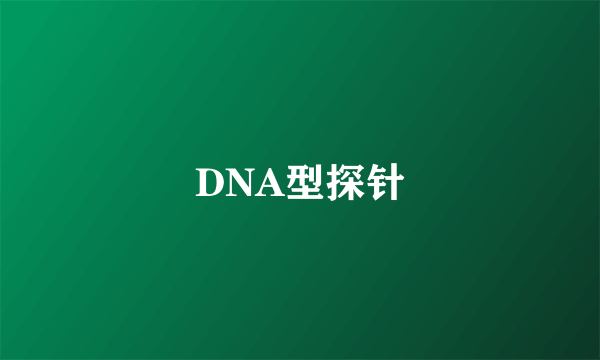 DNA型探针
