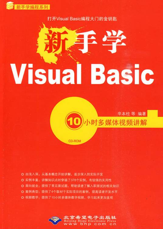新手学VisualBasic