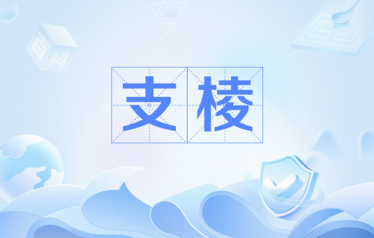 支棱（网络流行语）