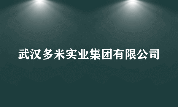 武汉多米实业集团有限公司