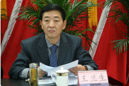 王兰生（成都地质学院教授）