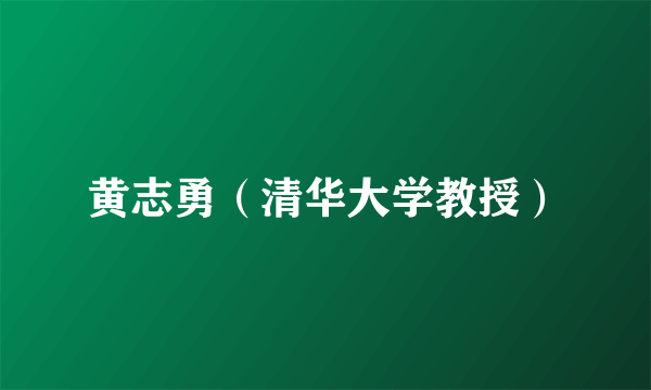黄志勇（清华大学教授）
