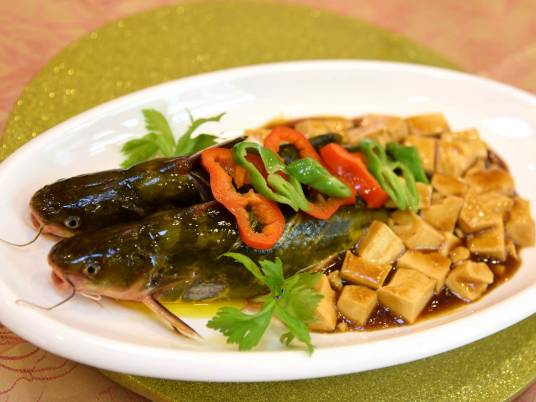 昂刺鱼烧豆腐