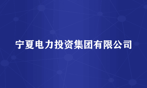 宁夏电力投资集团有限公司