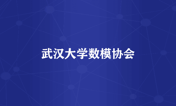 武汉大学数模协会