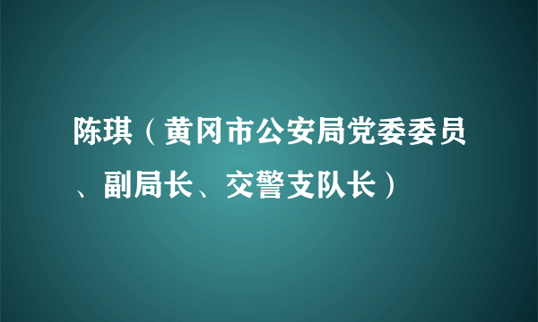 陈琪（黄冈市公安局党委委员、副局长、交警支队长）