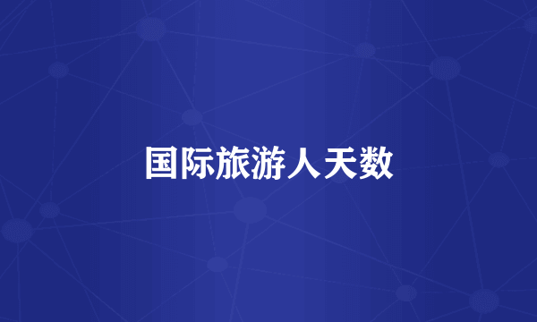 国际旅游人天数