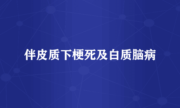 伴皮质下梗死及白质脑病