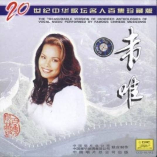 爱我中华（1991年韦唯演唱的歌曲）