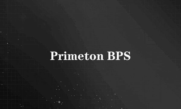 Primeton BPS