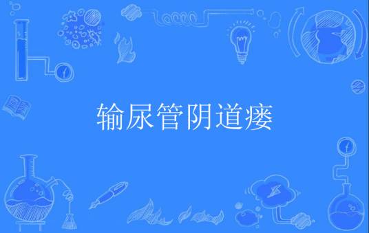 输尿管阴道瘘