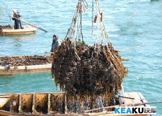 广州星乐唱片公司