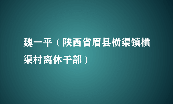 魏一平(陕西省眉县横渠镇横渠村离休干部)