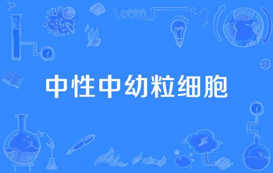 中性中幼粒细胞
