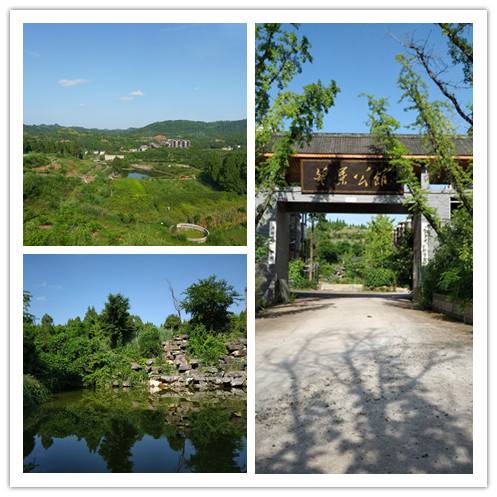 新店镇（四川省南充市营山县下辖镇）